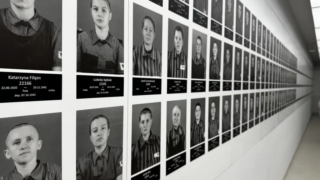 Auschwitz 7 result