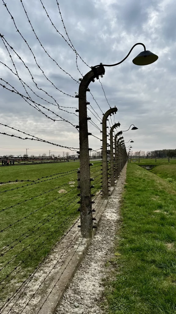 Birkenau