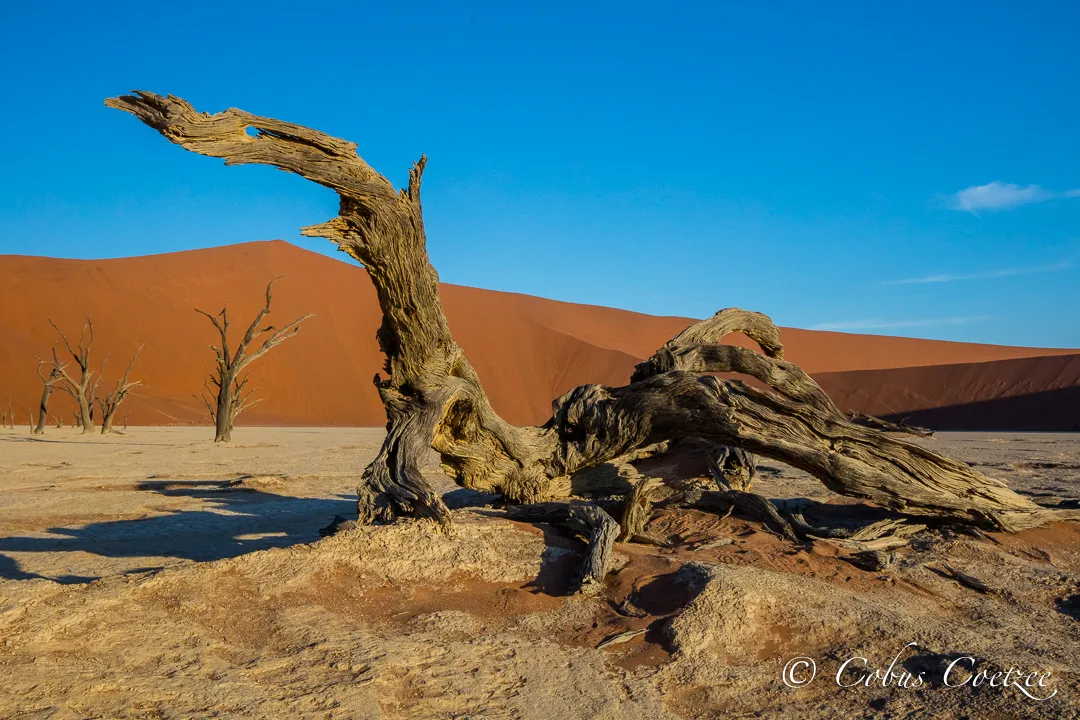 Dooievlei, Namibia Dooievlei, Namibia