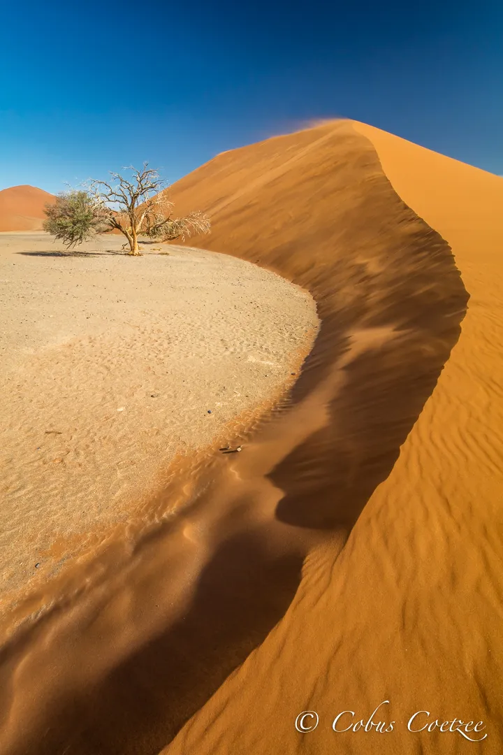 Sossusvlei, Namibia Sossusvlei, Namibia