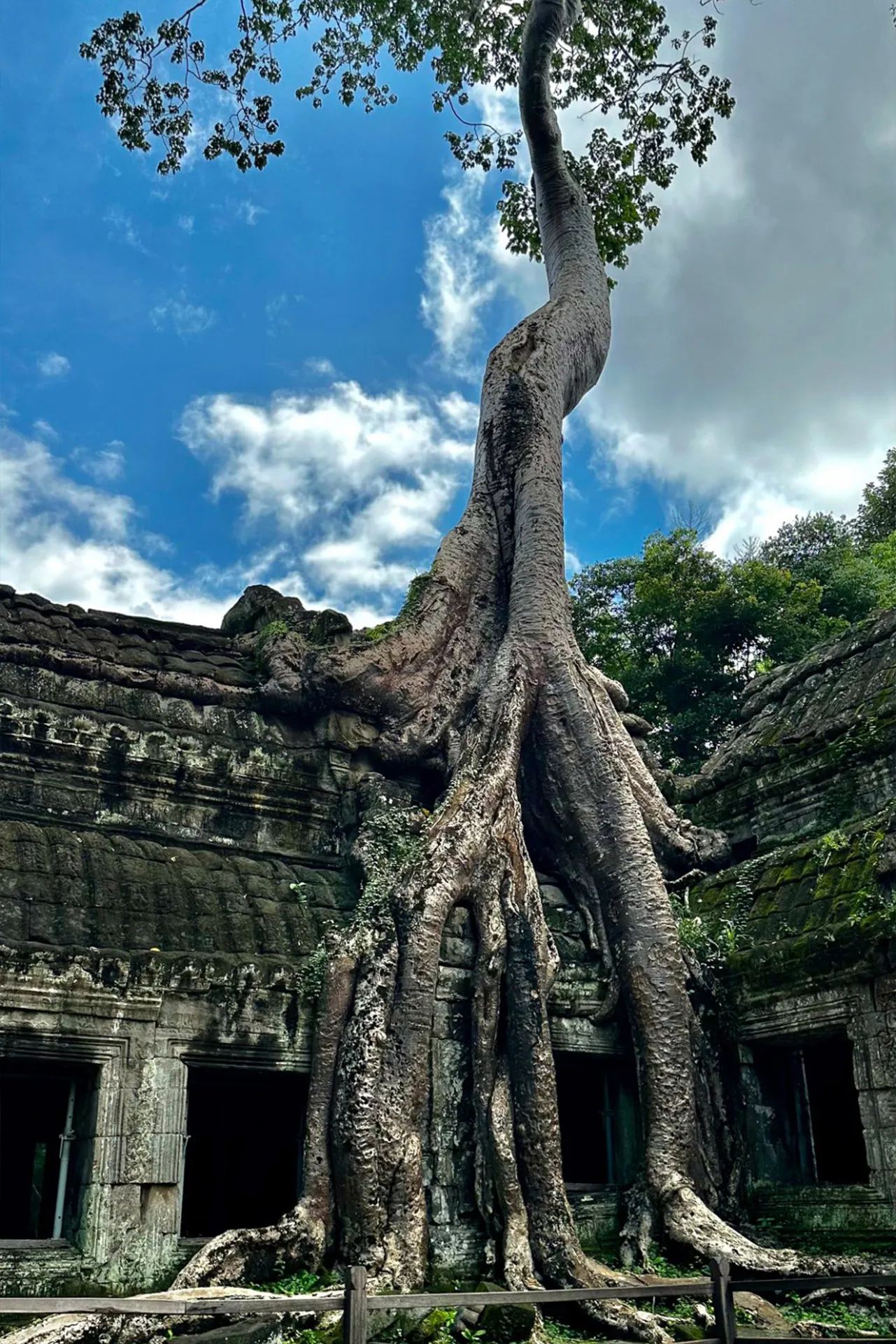 Ta Prohm, Cambodia-2 Ta Prohm, Cambodia-2