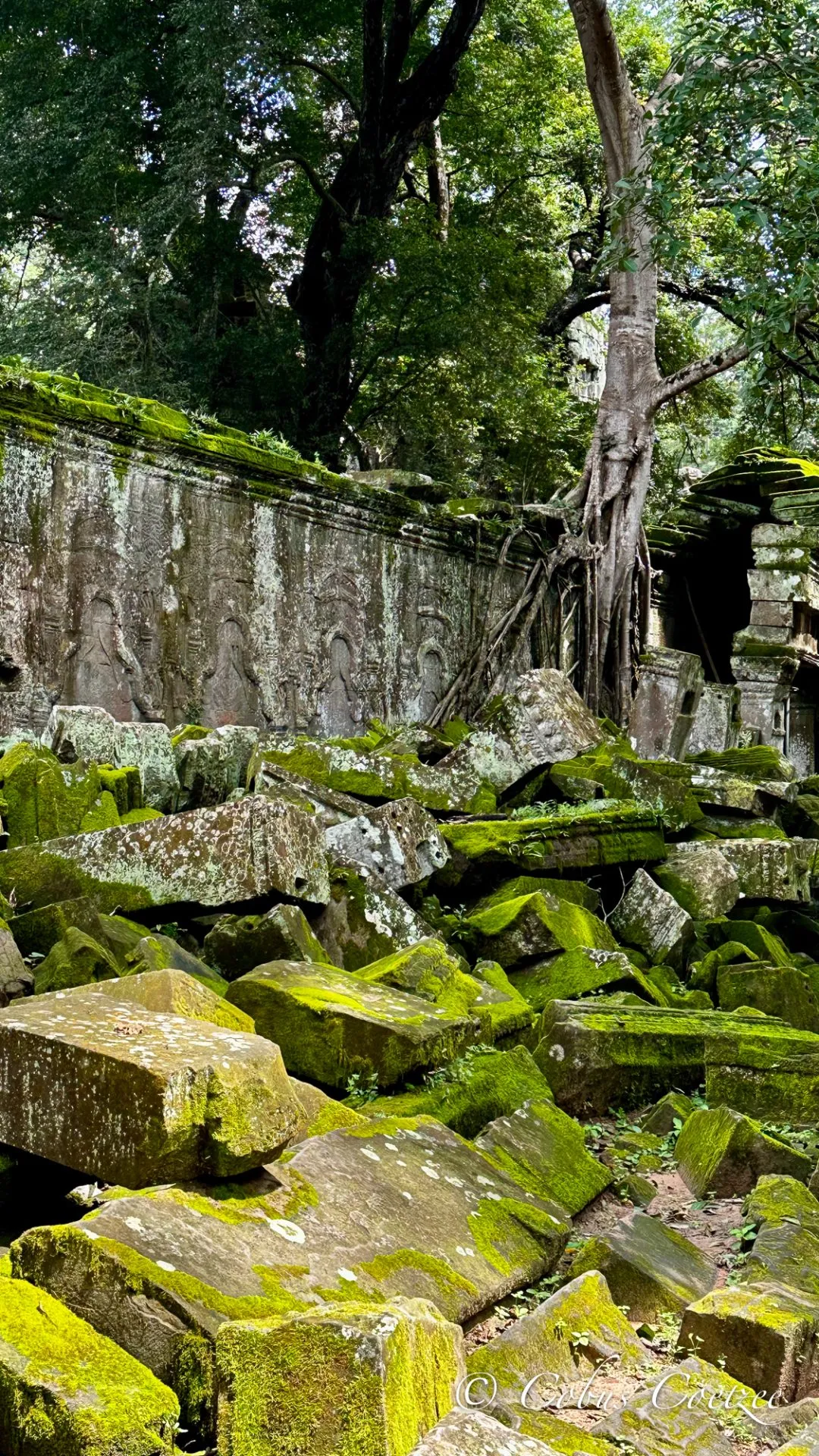 Ta Prohm, Cambodia Ta Prohm, Cambodia