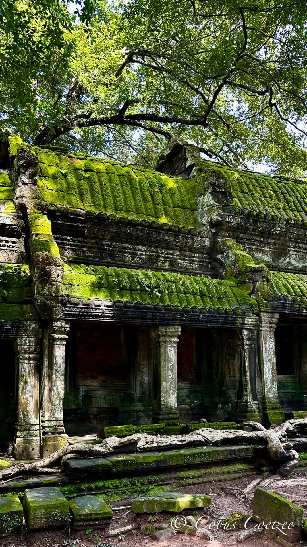 Ta Prohm, Cambodia Ta Prohm, Cambodia